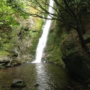 Meet your Posher, Odie